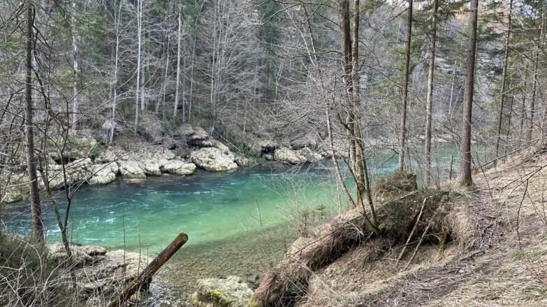 Rinnende Mauer Trail - Molln (kurz)