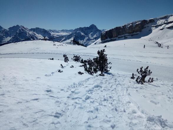 Ifen winterwanderweg