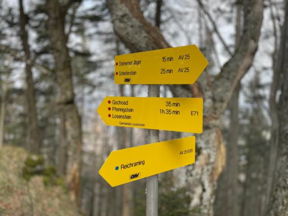 Reichraming - Schieferstein - Pfennigstein Trail