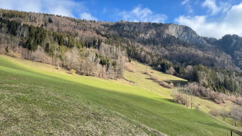 Reichraming - Schieferstein - Pfennigstein Trail