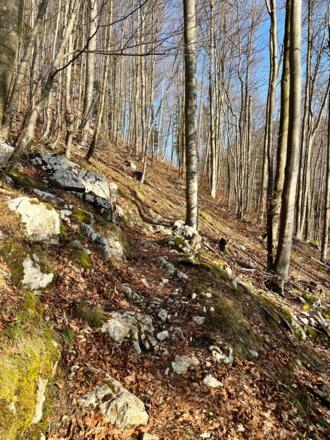 Steinköpfl-Trail - Molln