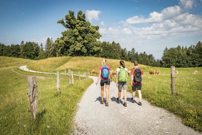 Wanderer am Samerberg