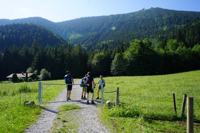 Hochries im Hintergrund
