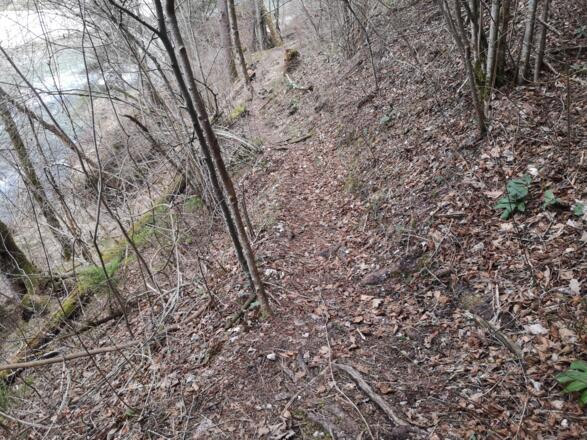 Rinnende Mauer Trail - Molln (lang)