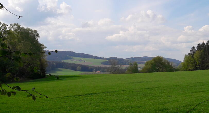 Blick vom Weg nach Streifenau zum Himmelberg (links)