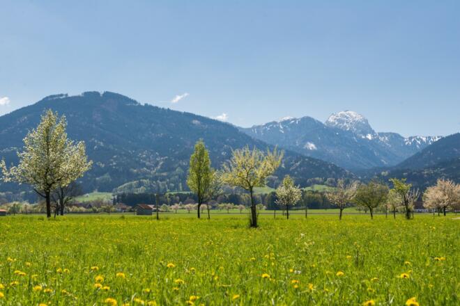 Blick auf Bad Feilnbach mit Wendelstein