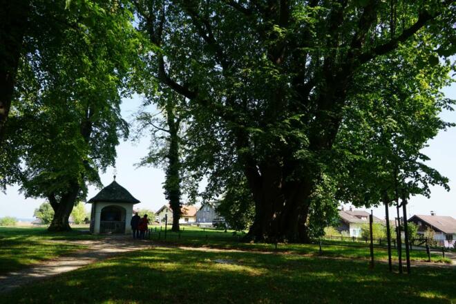 Tassilo Linde auf der Fraueninsel