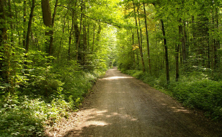 Rund um den Hochstaufen