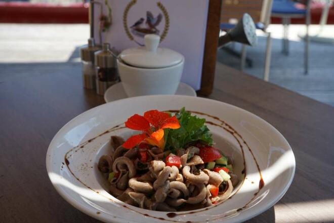 Einkehr im Finkennest