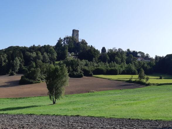 Ruine Arbesbach