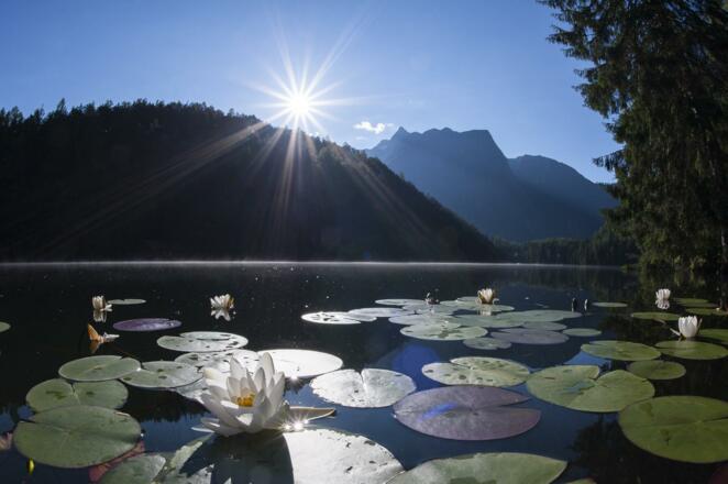 Piburger See