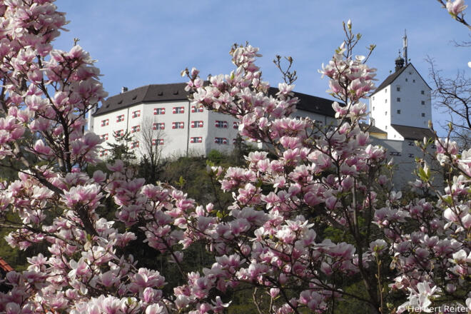 Burg Hohenaschau im Frühling
