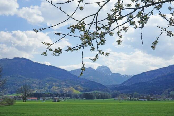 Blick zum Wendelstein