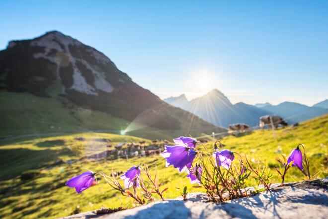 Hohljoch - Eng Alm