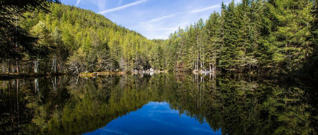 Winkelbergsee