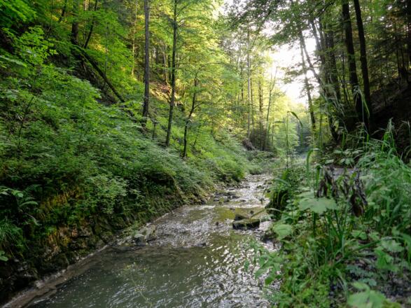 Alpbachtal Tegernsee