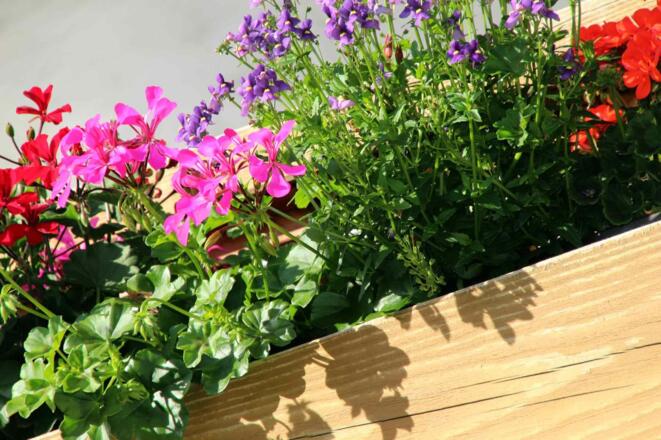 Mit liebe betriebenes Gästehaus