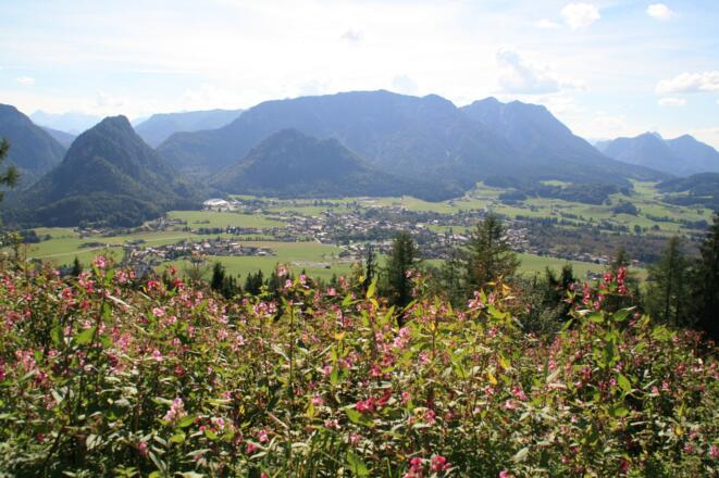 Blick vom Ausichtspunkt