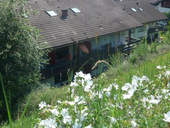 Westbalkon