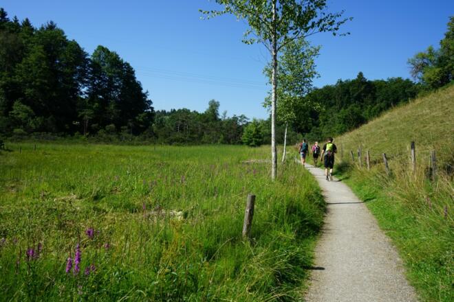 Wandern in der Eggstätt-Hemhofer Seenplatte