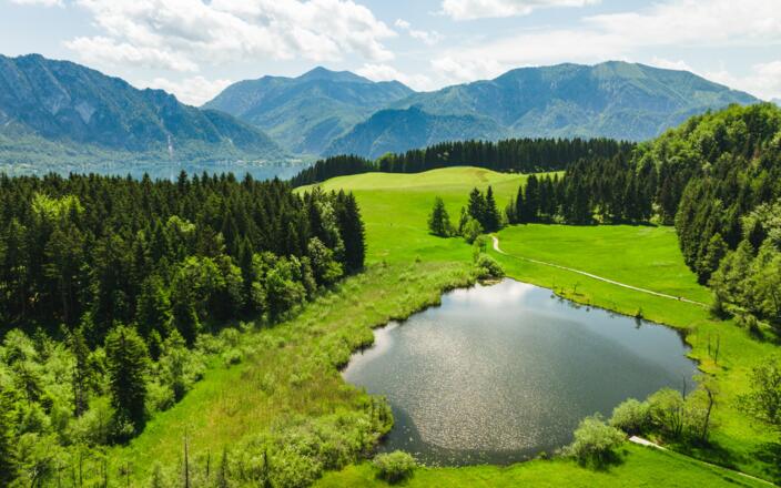 Naturschutzgebiet Egelsee in Unterach am Attersee