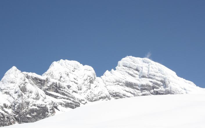 Dachsteingeltscher