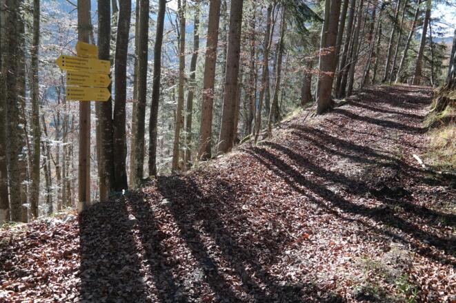 Wegkreuzung beim Abstieg.