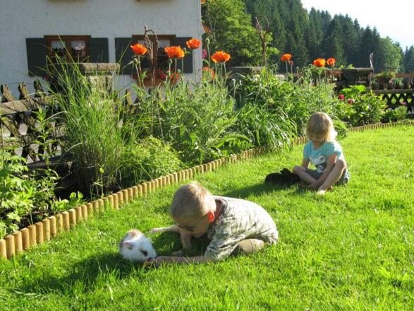 Tiere hautnah erleben
