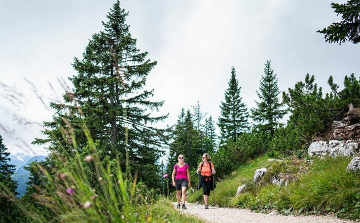 Zahlreiche Wanderwege führen zum Predigtstuhl