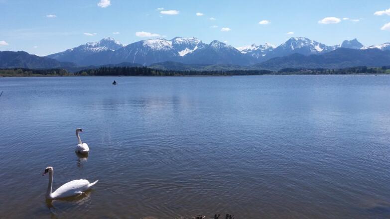 Der wunderschöne Hopfensee ist nur einen Katzensprung von uns entfernt