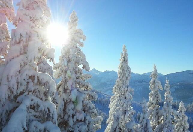 ... das Landhaus Alpensonne mit grandiosem Blick auf die Schattwalder Bergwelt...