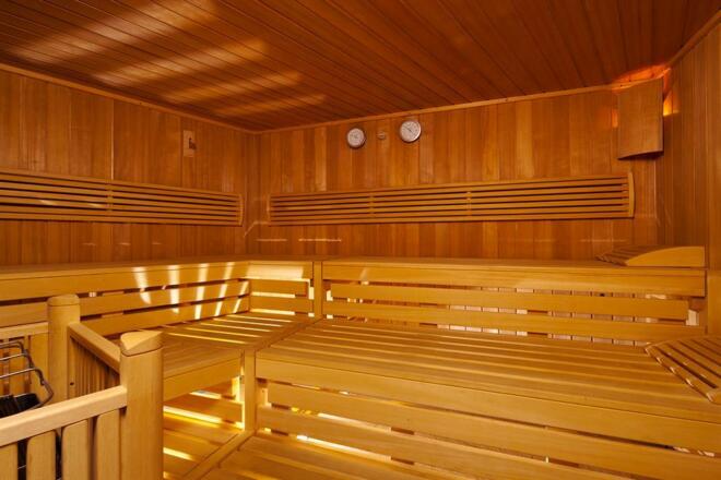 Wellness Biosauna