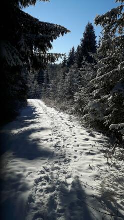 Winterwanderweg