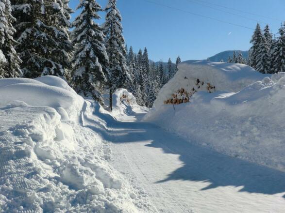 Lammertal