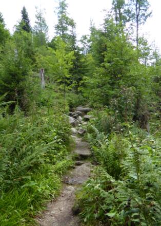 Aufstieg zum Teufelsloch