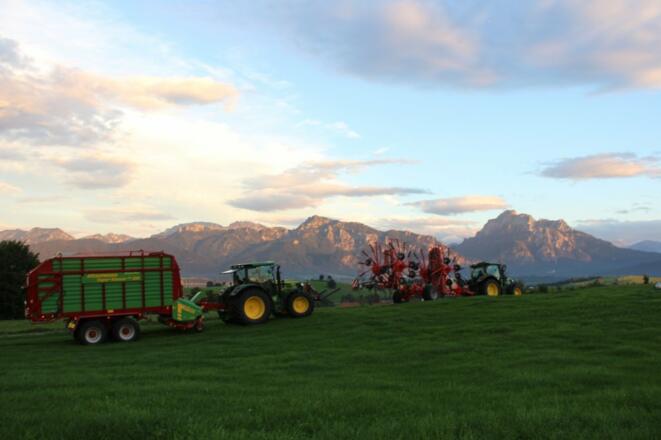 Stögerhof - Grasernte eingefahren...