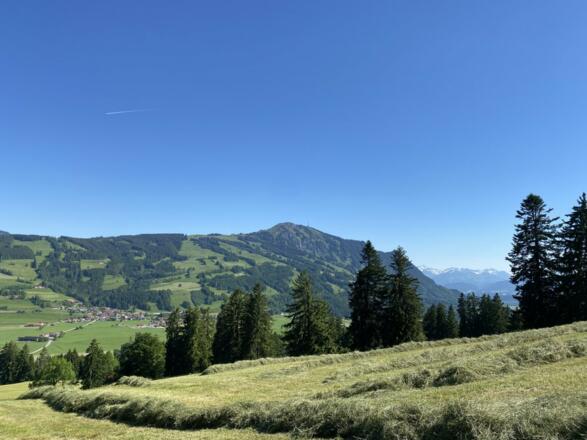 Bei der Heuernte