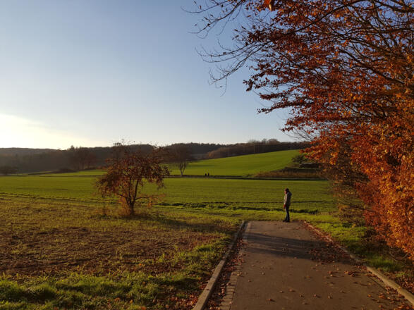 die Spazierwege beginnen gleich unterhalb vom Haus