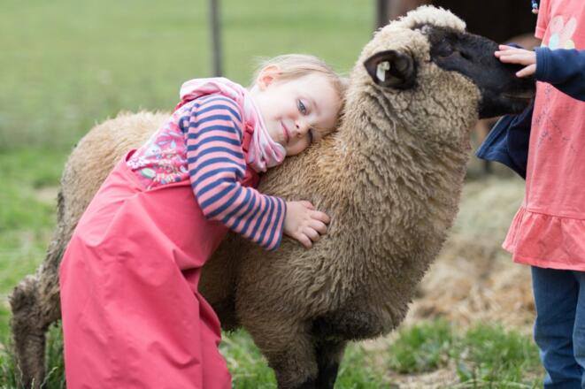 Kuscheln mit Schaf "Max"