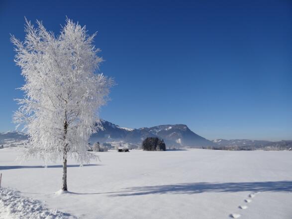 Traumhafter Wintertag