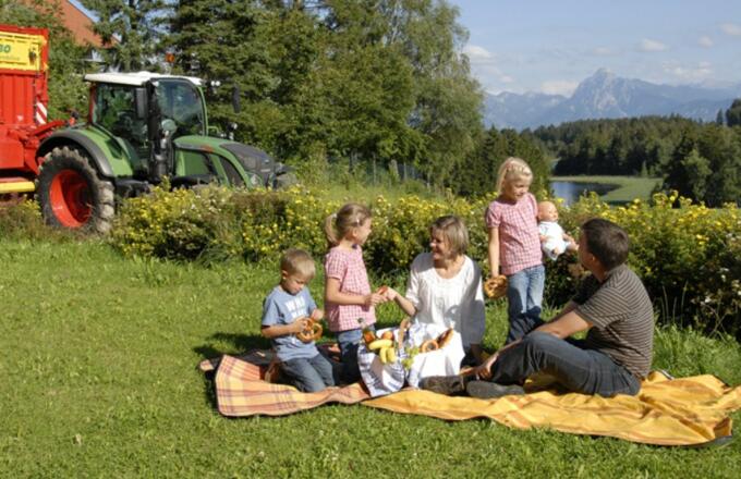 Picknick im Grünen