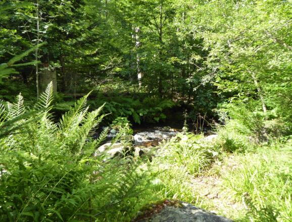 entlang der kleinen Ohe