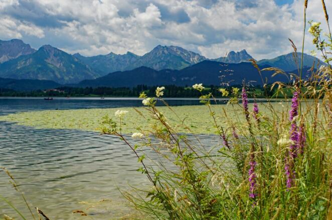 Hopfensee