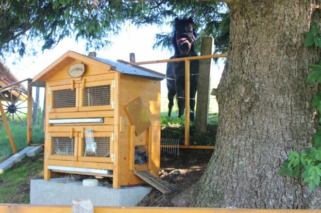 Hasenalm - auch der Lieblingsplatz von unserem Pony Obelix