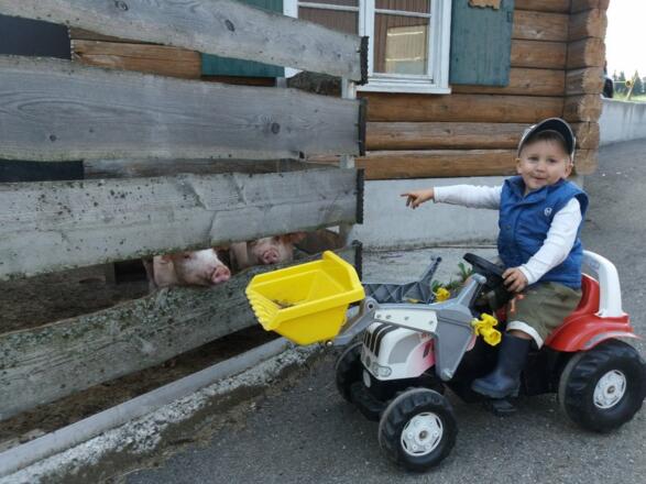 auf Du und Du mit den Tieren