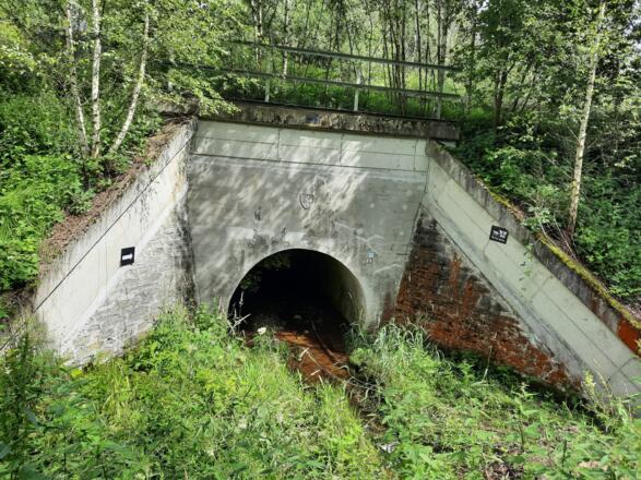 CZ_PferdeeisenbahnwanderwegViadukt_Bettina Preinfalk