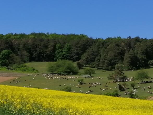 Umgebung