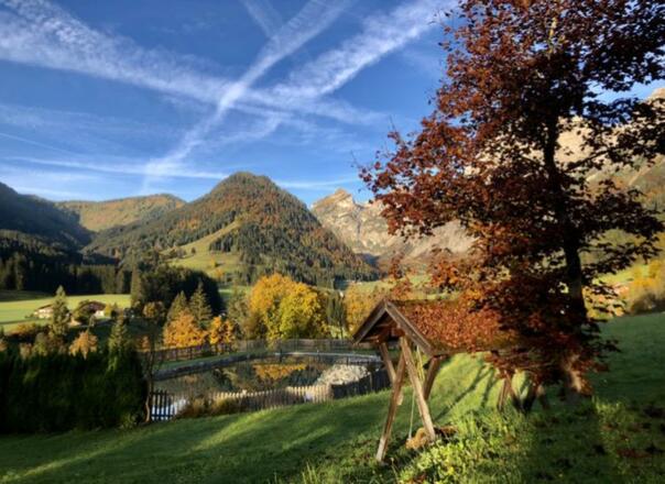 Herbst 2022 456