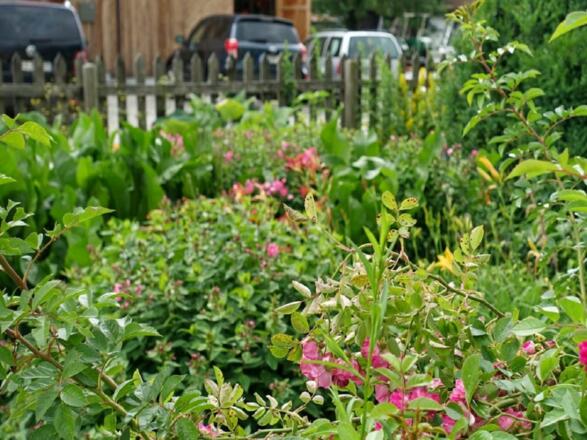 Garten