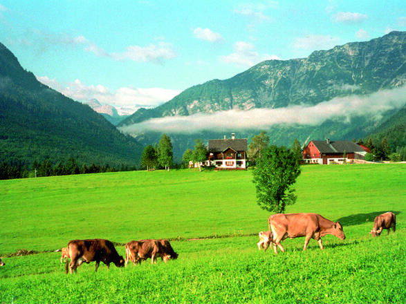 Ferienwohnungen Perktold Bild für Fotogalerie